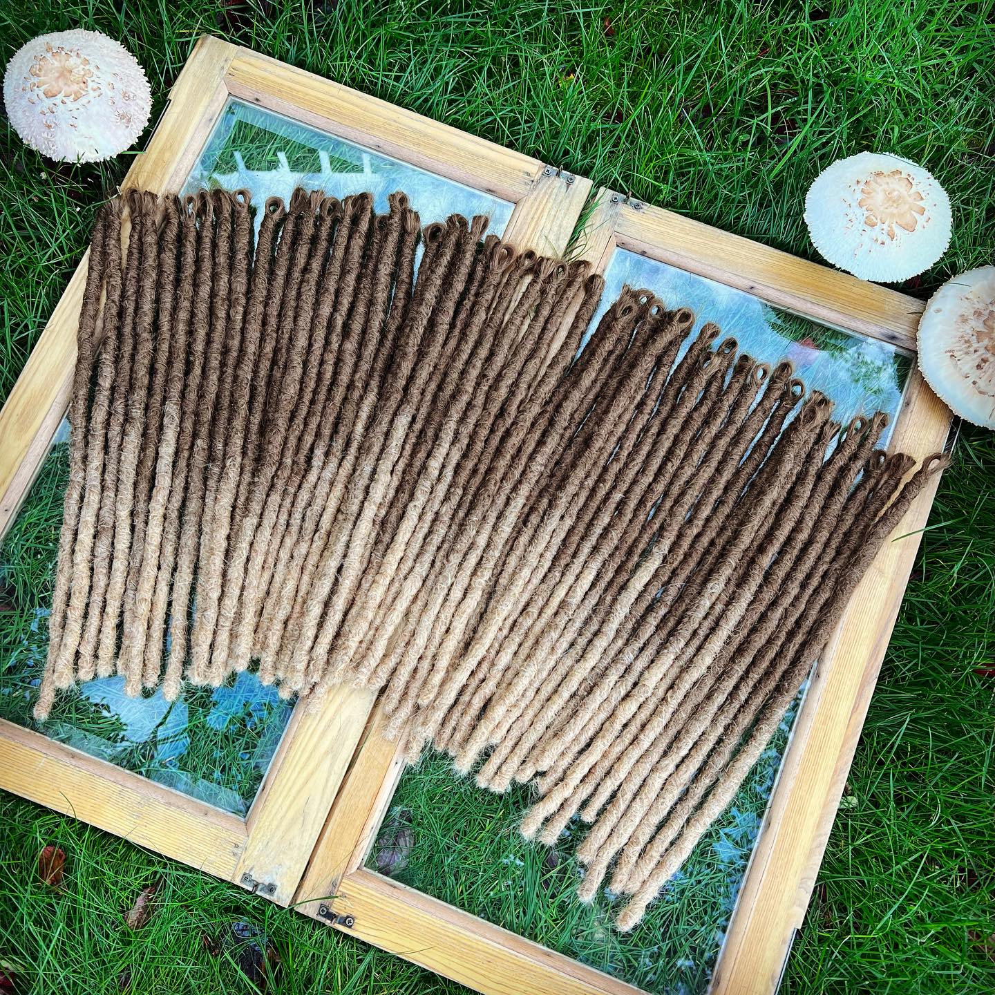 Human Hair Dreadlock Extensions